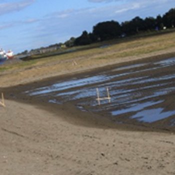 Stagrennan Polder Restoration Works, Drogheda