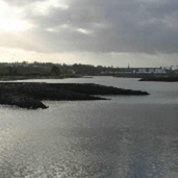 Stagrennan Polder Restoration Works, Drogheda